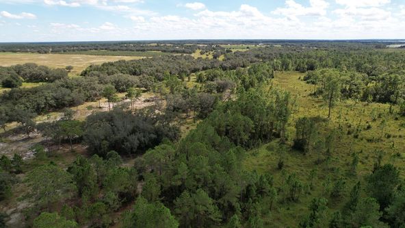 Lake Hatchineha Road Residential: 9500 Lake Hatchineha Rd, Haines City, FL 33844